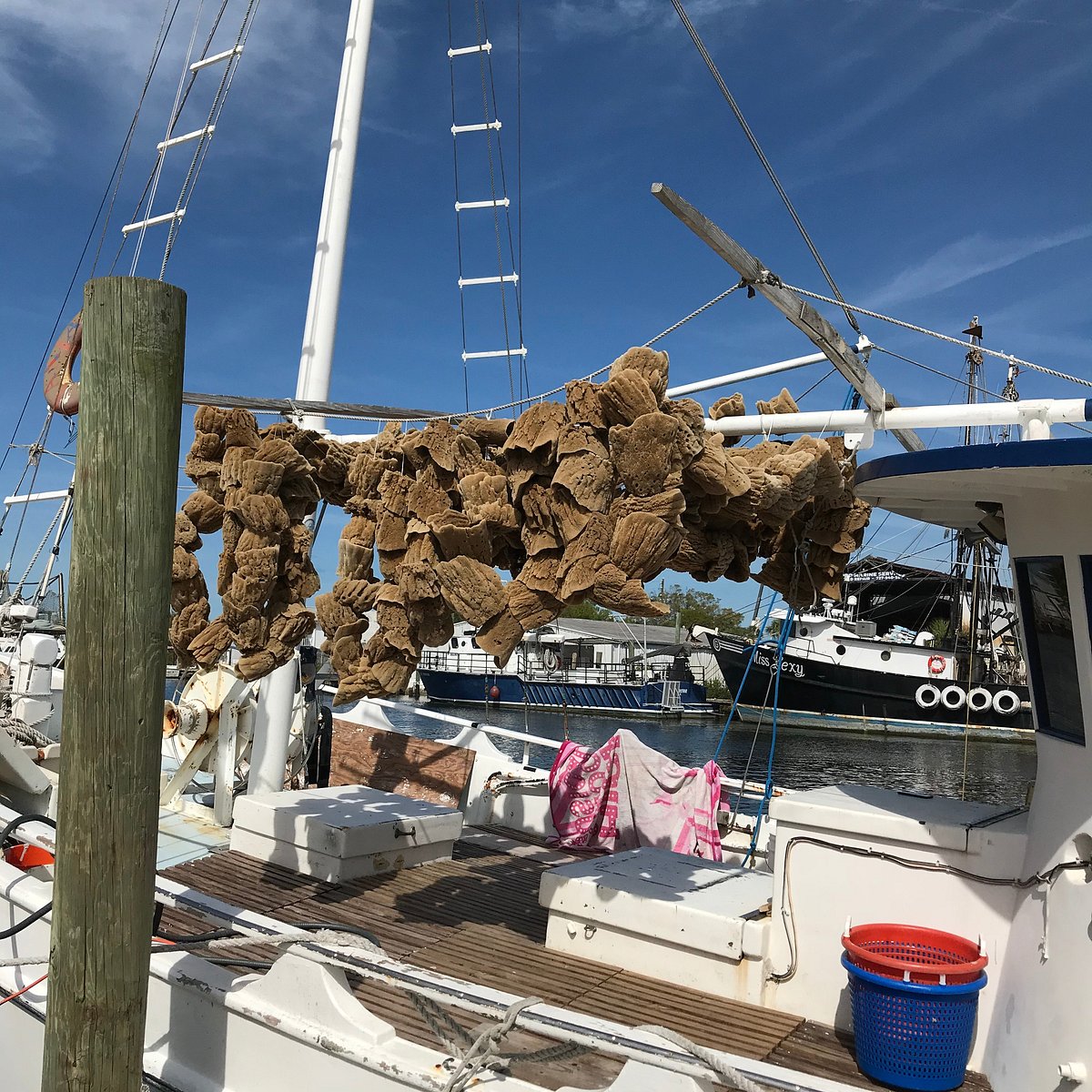 All 100+ Images tarpon springs sponge docks photos Completed