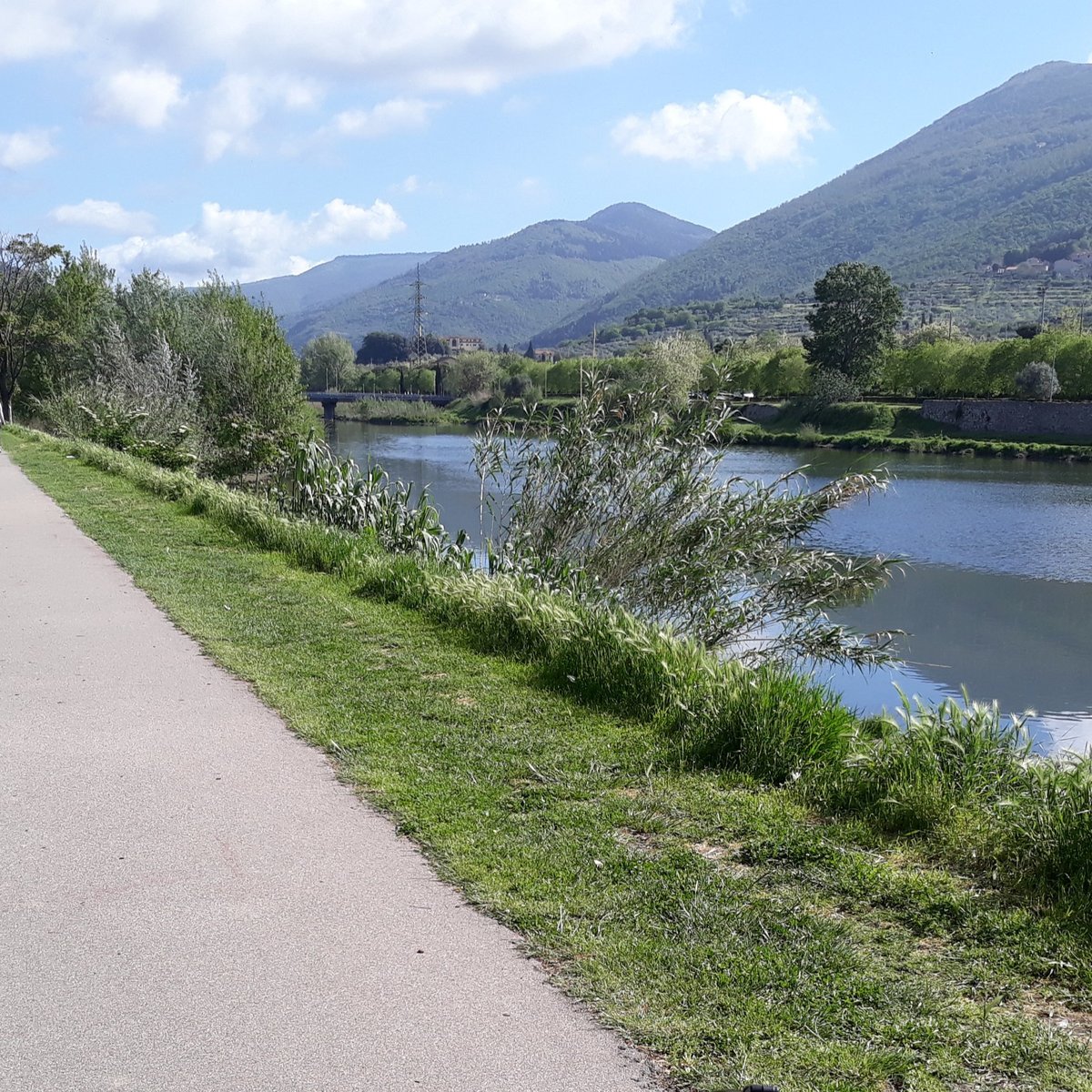 PISTA CICLABILE E PEDONALE LUNGO BISENZIO: Tutto quello che c'è da sapere