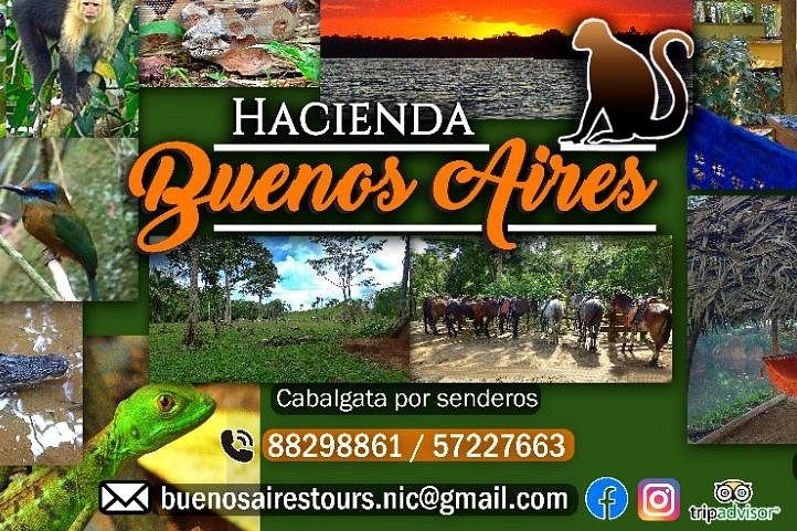 Buenos Aires tours image