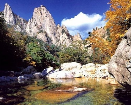 seoul family tour packages