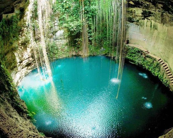 Cenote Misterio Maya (Playa del Carmen) - All You Need to Know BEFORE ...