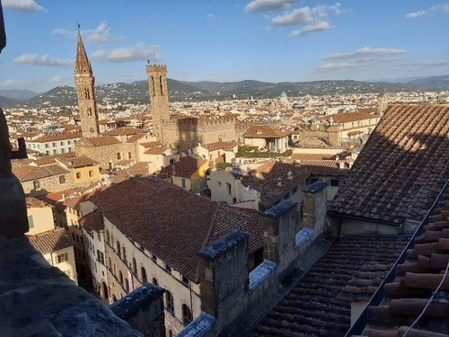 Province of Florence Tours with Mari ?? review images