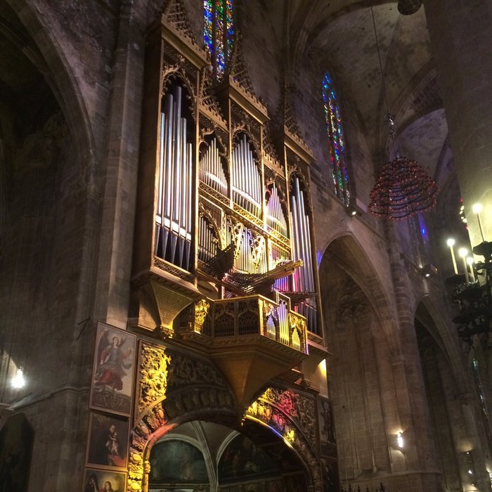 Imagen 7 de La Seu