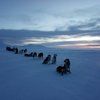 Nanouak Dogsledding Norway