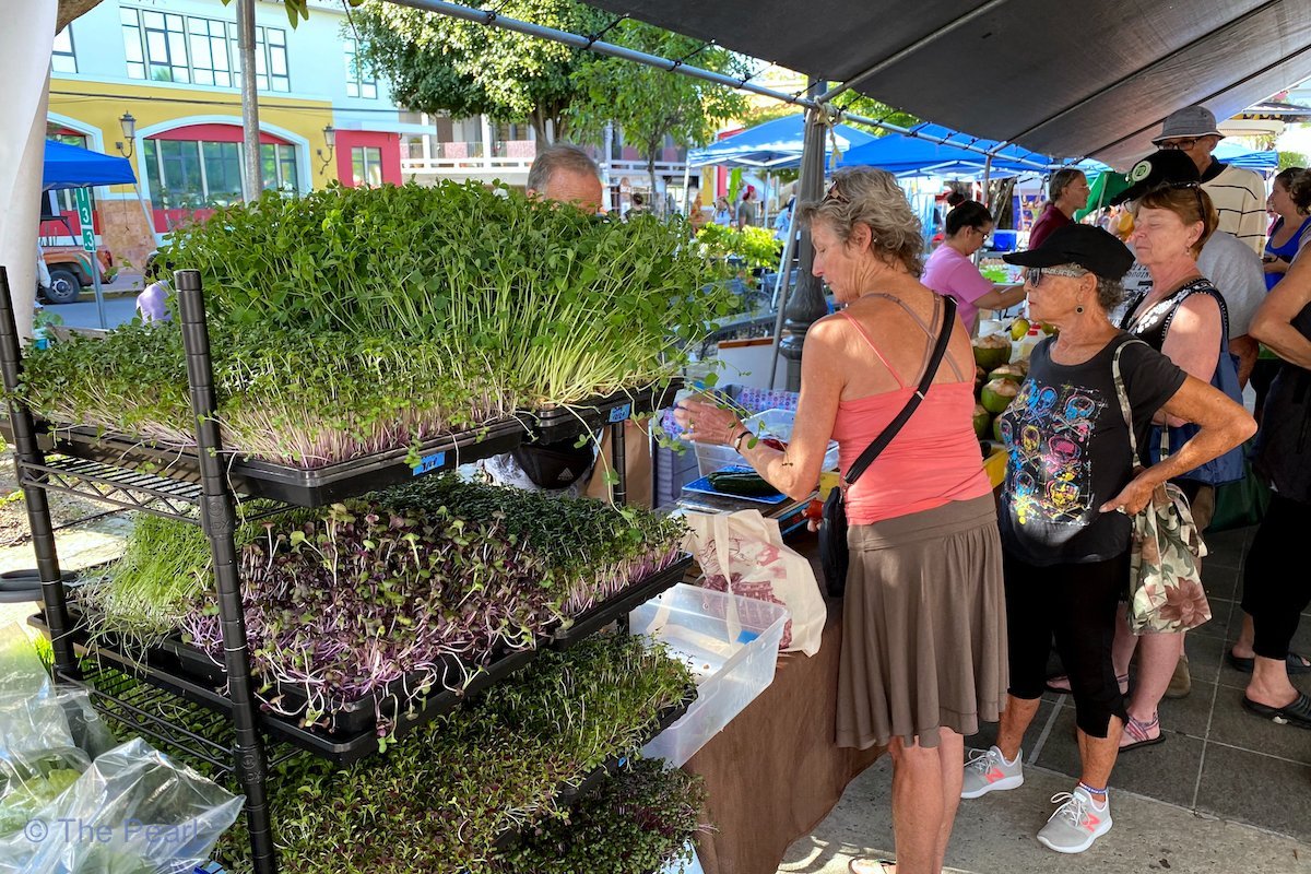 Rincon Farmer’s Market: All You Need to Know BEFORE You Go