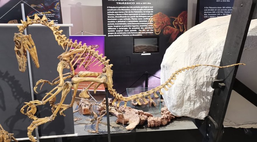 CAPPA-Centro de Apoio a Pesquisa Paleontologica da Quarta Colonia