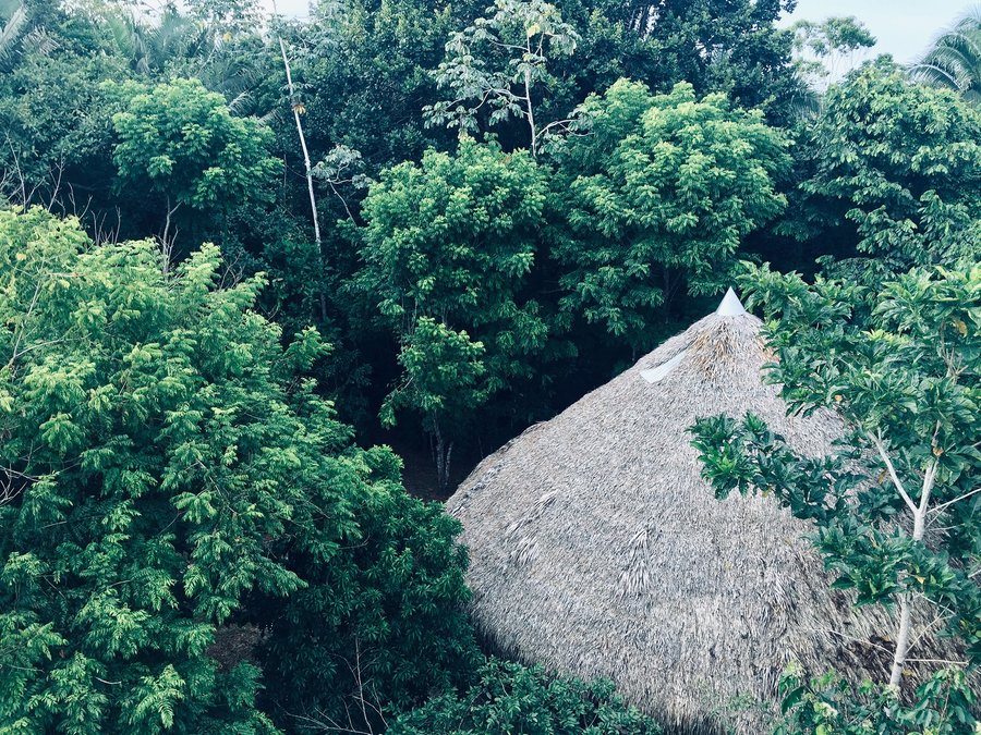 Suisui Lodge Pucallpa Ayahuasca Insights Prices Campground Reviews Peru Ucayali Tripadvisor