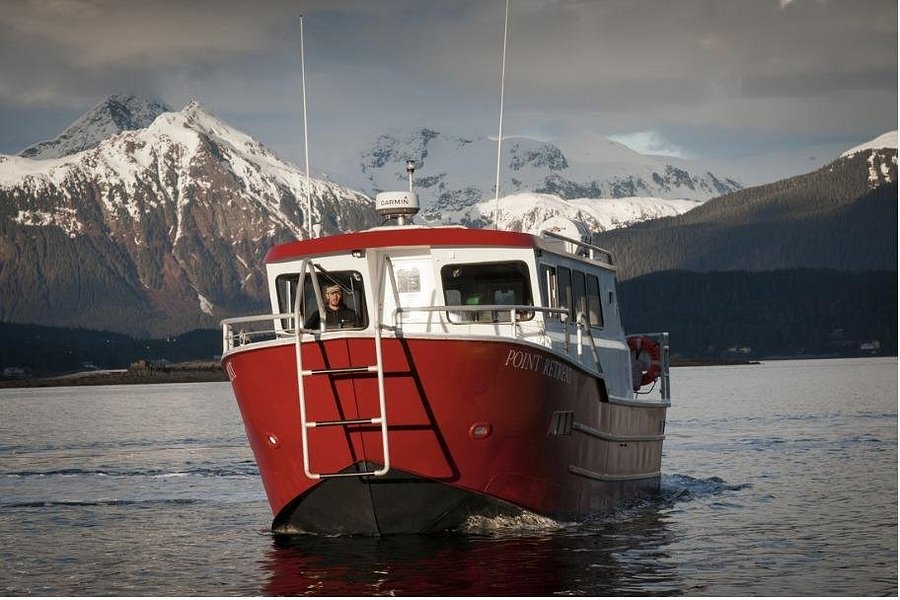 Seek Alaska Tours image