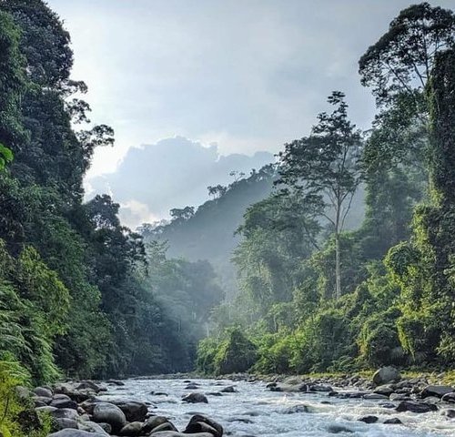 THE 10 BEST Things to Do in Sumatra - Tripadvisor