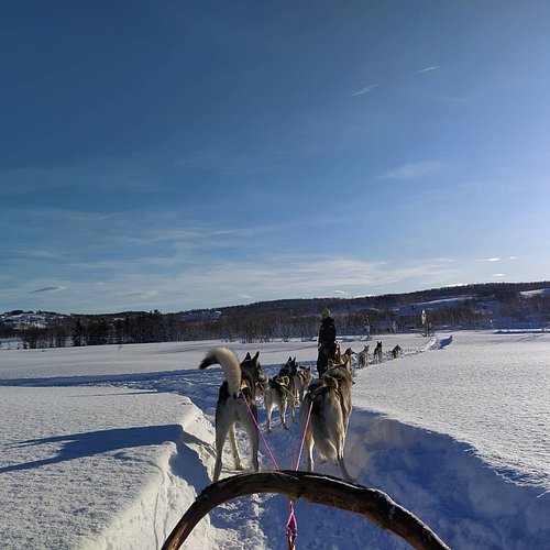 The 8 Best Things To Do Good For Kids In Senja Northern Norway The 8 Best Things To Do Good For Kids In Senja Northern Norway