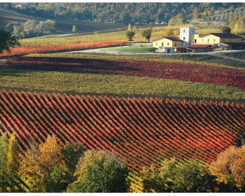 THE 10 BEST Umbria Wineries & Vineyards (with Photos) - Tripadvisor