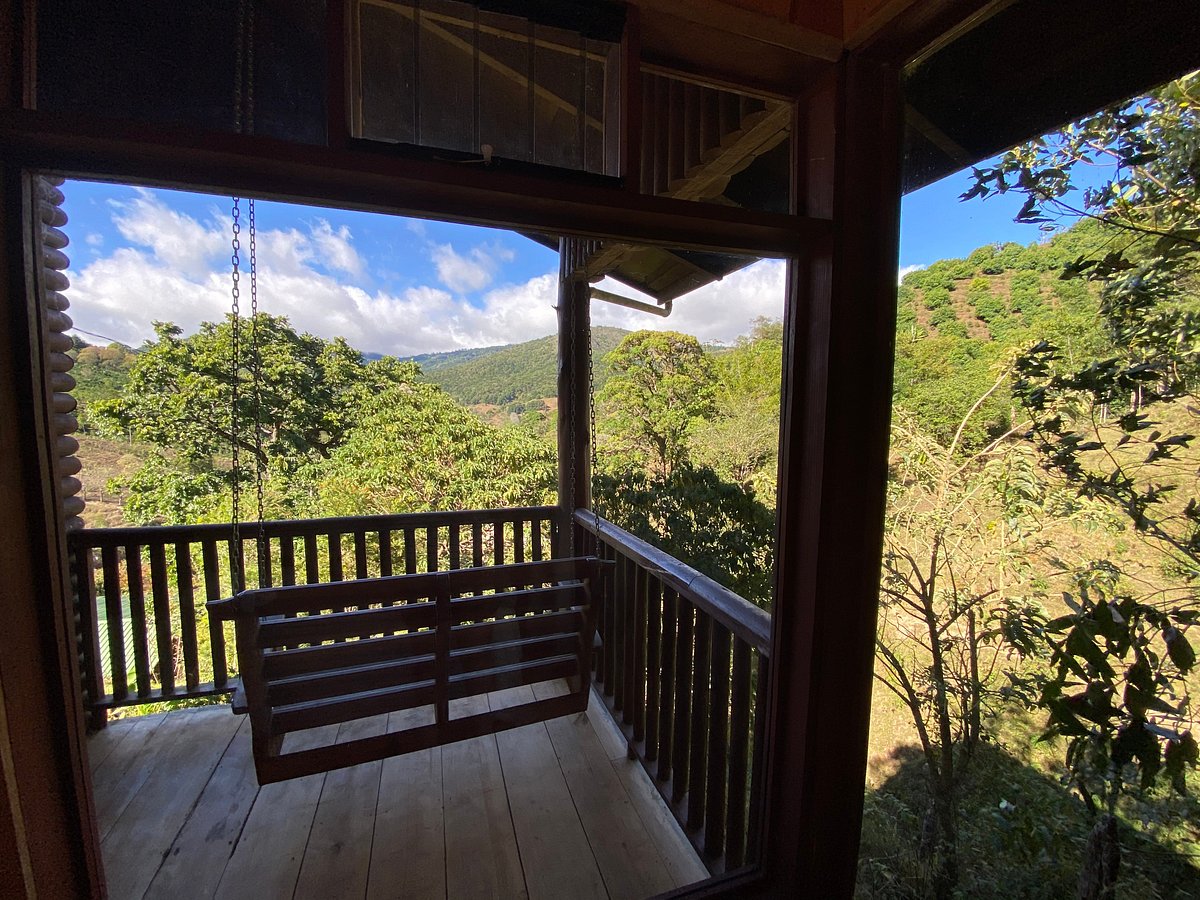 Cedrela Eco Lodge Updated 2024 Prices And Reviews Costa Ricacopey 