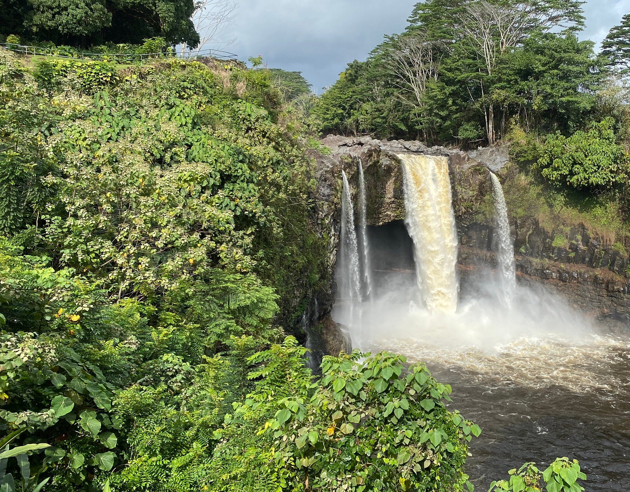 volcano tours hilo hawaii