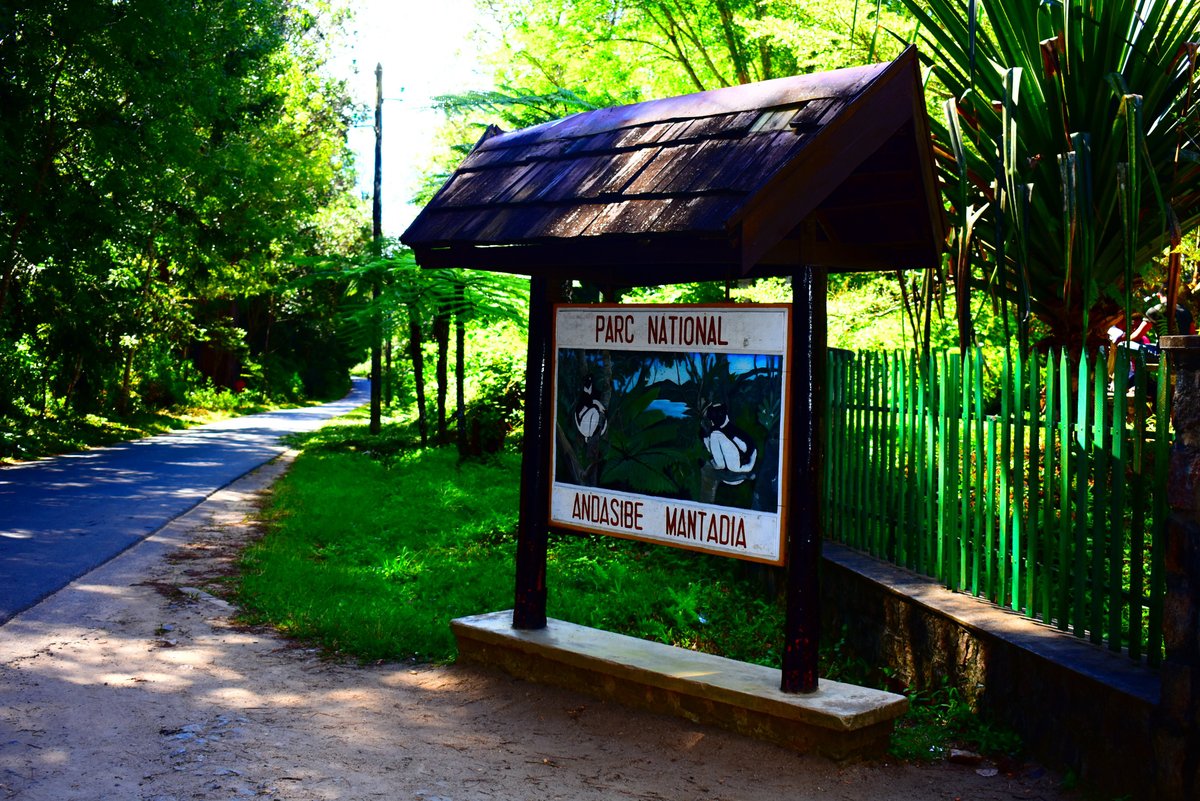 Andasibe National Park