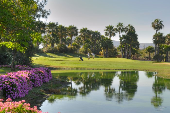 Imagen 15 de Hotel Las Madrigueras Golf Resort & Spa