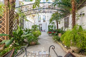 Le Ryad Boutique Hôtel in Marseille, image may contain: Garden, Nature, Outdoors, Backyard