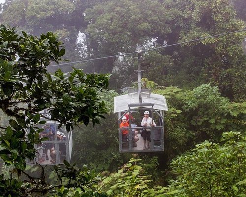 Tourist arriving to platform on a canopy cable ride, Monteverde, Santa  Elena, Costa Rica, Central America Stock Photo - Alamy