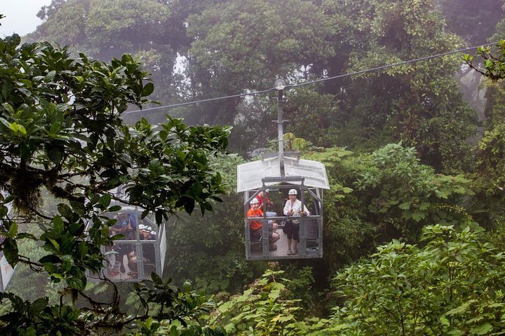 Tripadvisor | Sky Walk - Sky Tram E Sky Trek Zipline De Monteverde ...