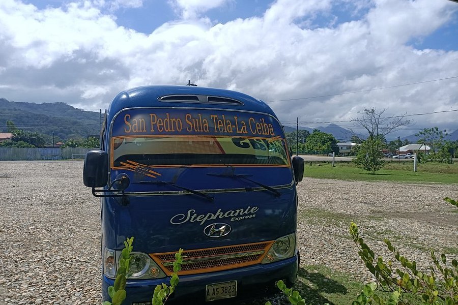 Buses del Occidente de Honduras image