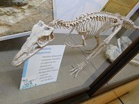 Museo Argentino De Ciencias Naturales Bernardino Rivadavia Buenos Aires Aktuelle 21 Lohnt Es Sich Mit Fotos Tripadvisor Museo Argentino De Ciencias Naturales Bernardino Rivadavia Buenos Aires Aktuelle 21 Lohnt Es Sich Mit Fotos Tripadvisor