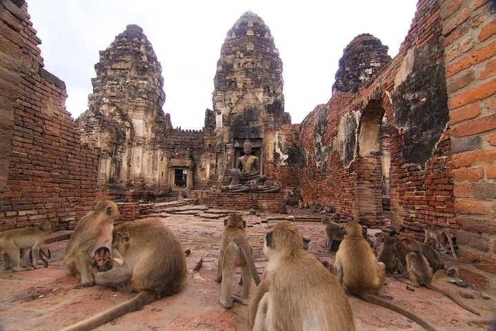 Macacos que comem, templo em tailândia.