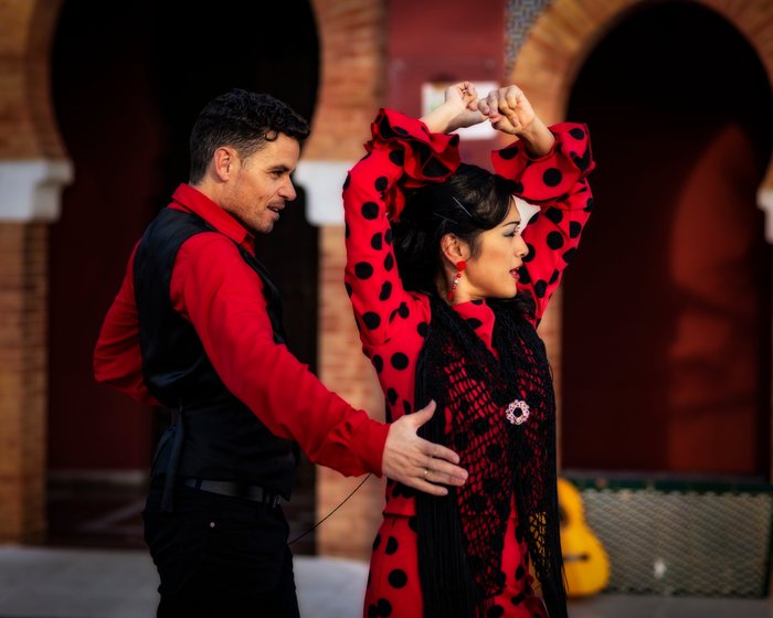 Imagen 1 de Flamenco Marbella