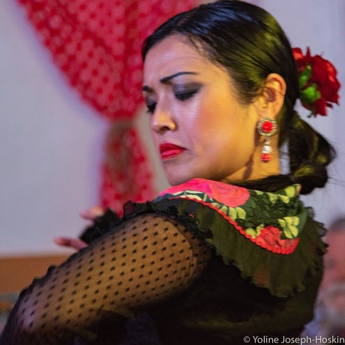 Imagen 7 de Flamenco Marbella