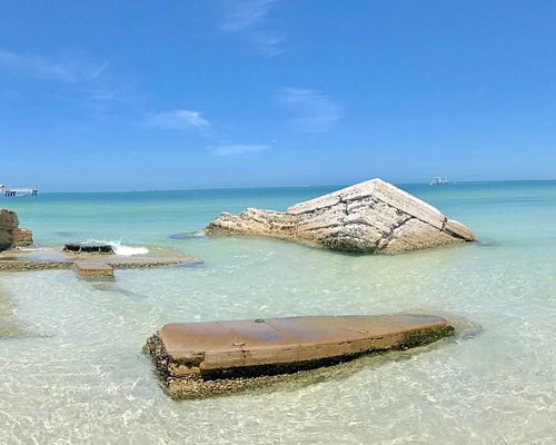 se permiten perros en el parque fort desoto