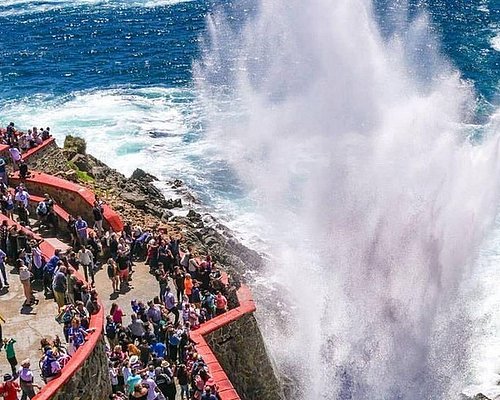 tour tijuana ensenada