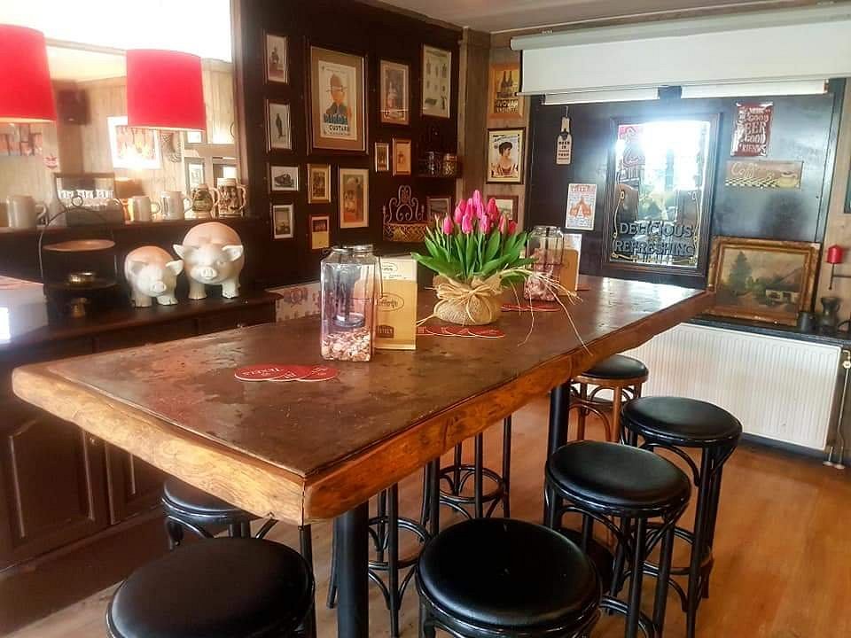 Inside the Blue Tomato Coffeeshop Hoorn: A Refreshing Take on