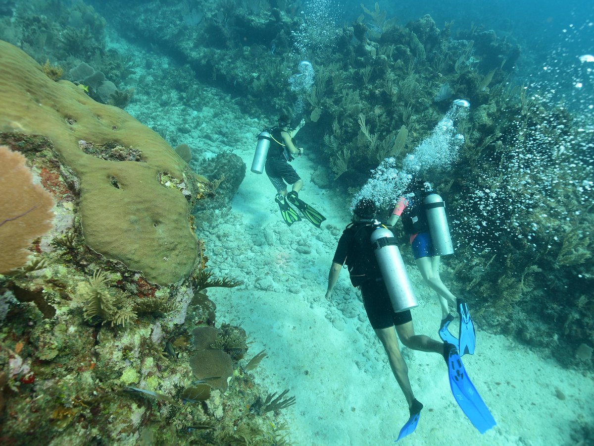 agua clara diving tulum