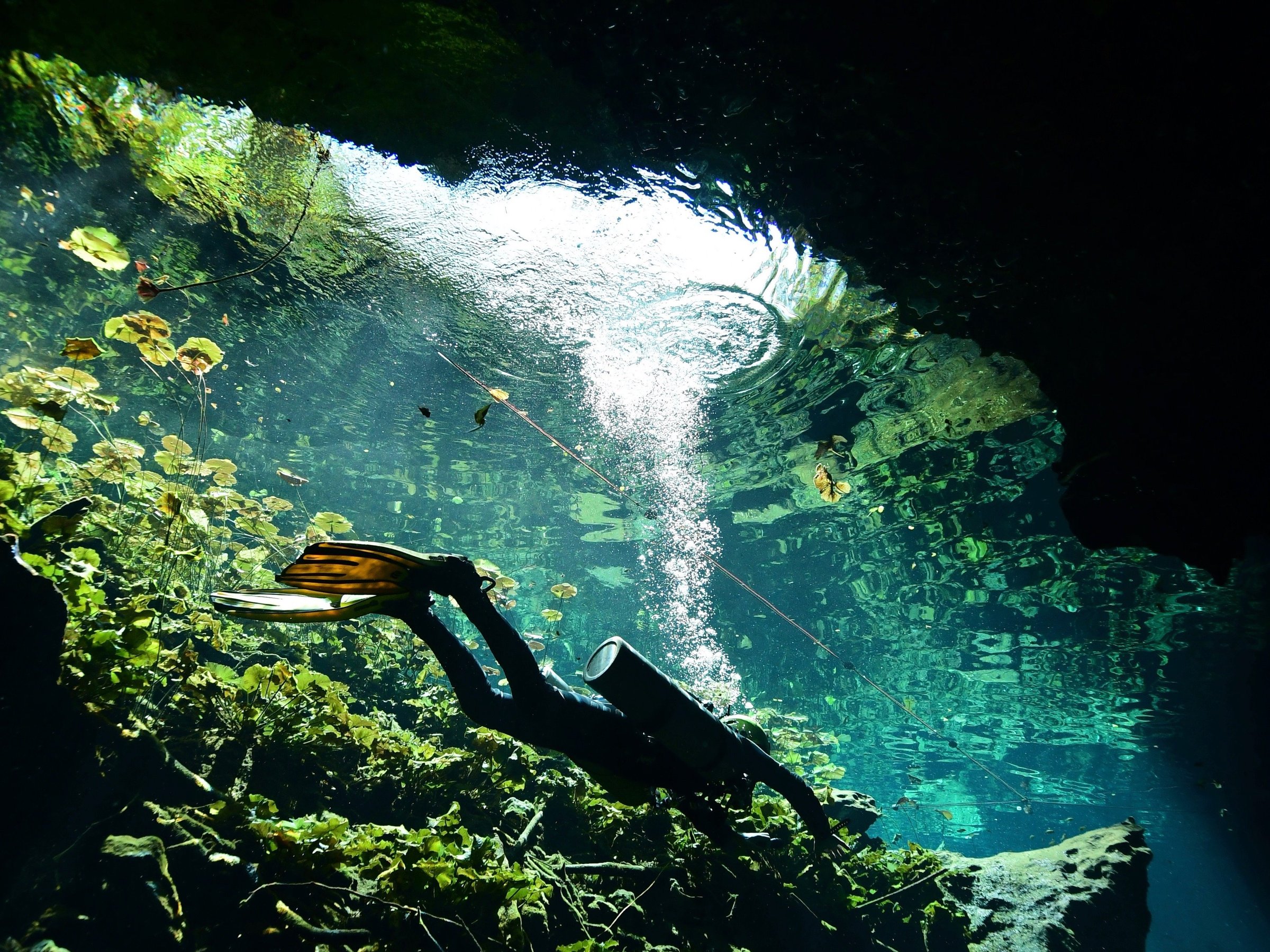 agua clara diving tulum