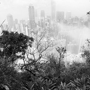 香港のジョギングコース 香港の 10 件のジョギングコースをチェックする トリップアドバイザー