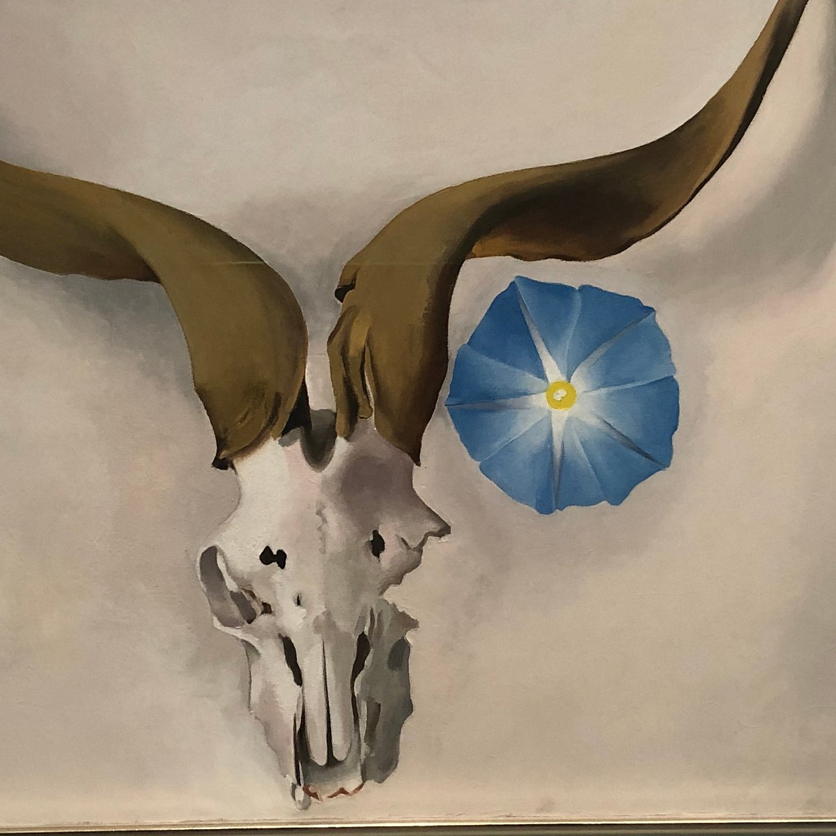 O'KEEFFE MUSEUM (Santa Fe) All You Need to Know BEFORE You Go