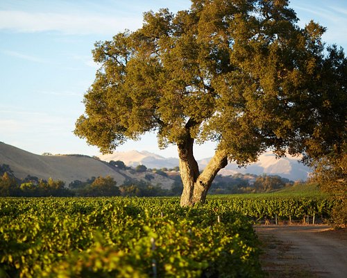 places to visit in santa ynez valley