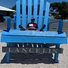Shannon_Perth