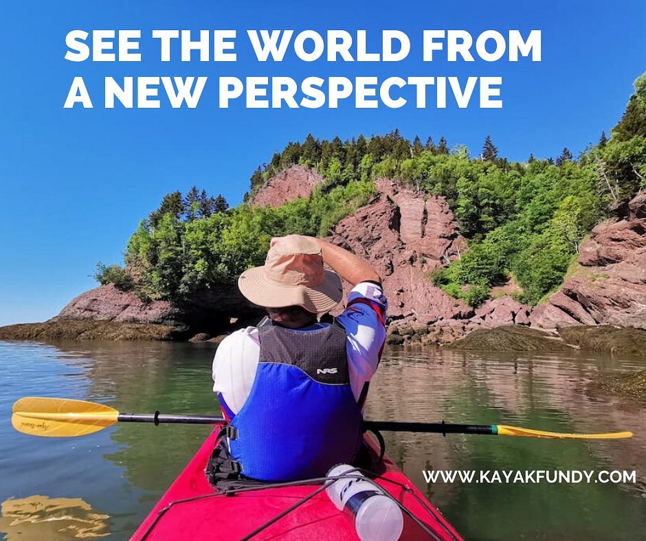 Tours  Bay of Fundy Adventures