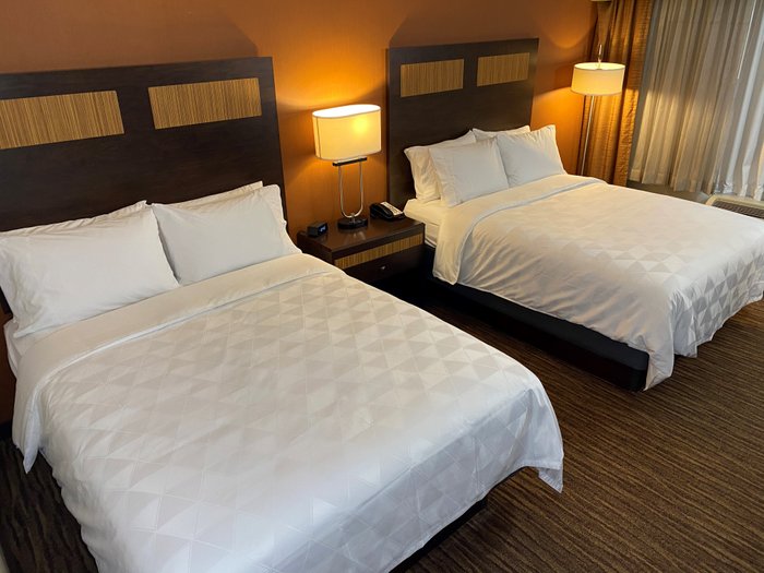 Comfort Inn & Suites Danbury-Bethel - UPDATED Prices, Reviews & Photos ...