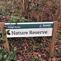 1. Eridge Rocks Nature Reserve
