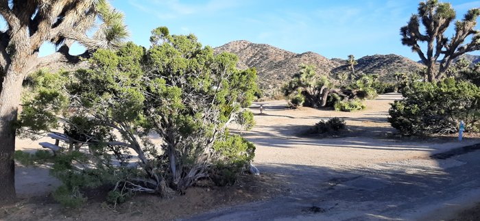 Escape To The Stars: Uncovering The Magic Of Black Rock Campground