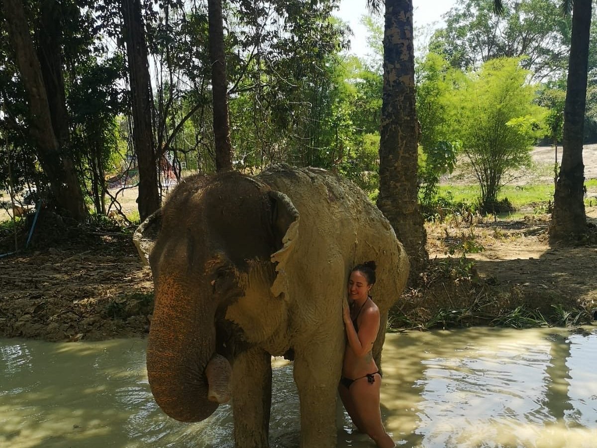 The Elephant Sanctuary Krabi Thailand Nong Thale All You Need To Know Before You Go