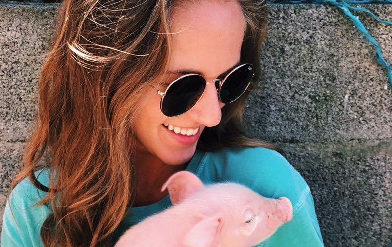 Get up close and personal with some of our new arrivals on the farm