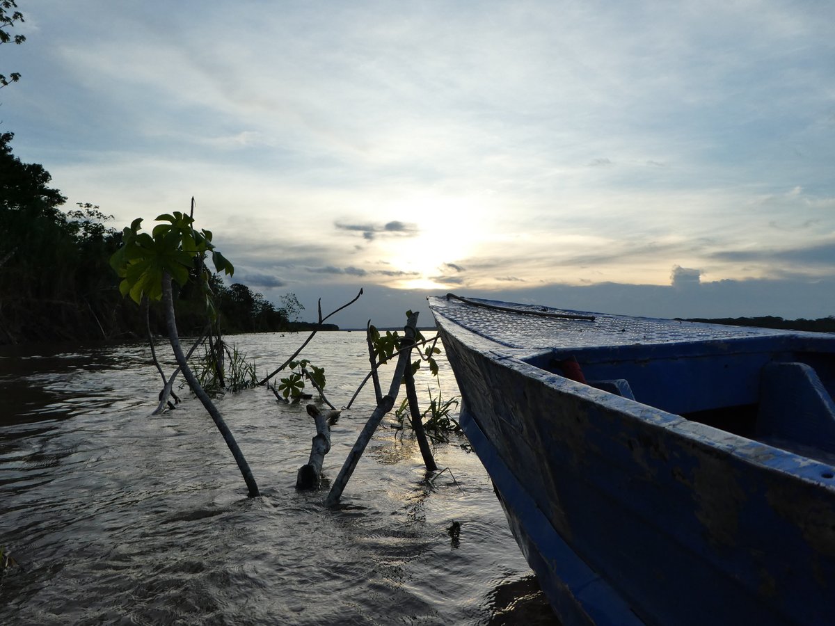 MUYUNA AMAZON LODGE - Updated 2024 Prices & Reviews (Paraiso, Peru)