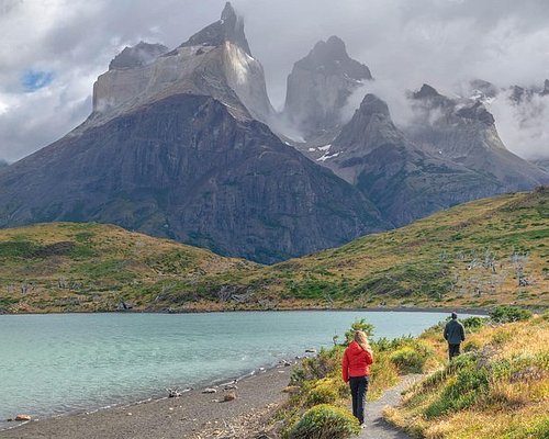 Visionary Wild (Torres del Paine • Visionary Wild )