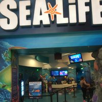 SEA LIFE Grapevine - All You Need to Know BEFORE You Go