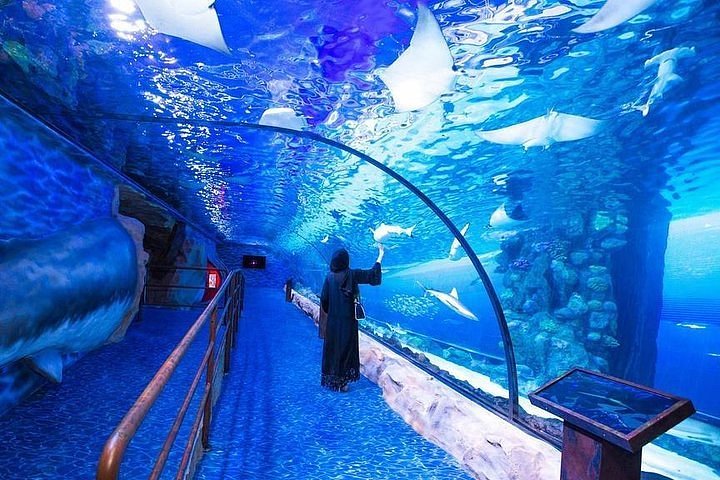 Tripadvisor | Dubai Mall & Underwater Zoo Ticket | De Forenede Arabiske Emirater