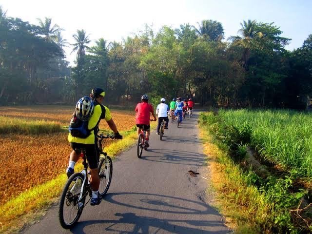 Bali Cycling Tours: Pedaling Through Island Wonders