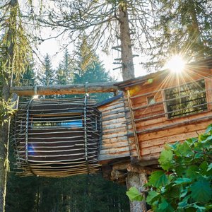 Casa sull'albero Vintage