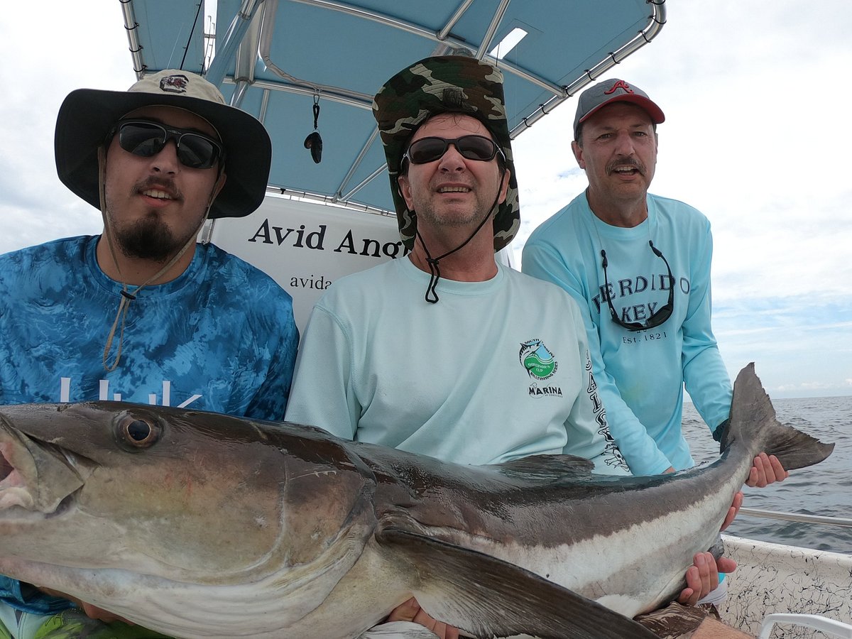 Avid Angling Fishing Charters - All You Need to Know BEFORE You Go (2024)
