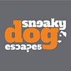 Sneaky Dog Escapes